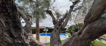Villa Palmeral- Piscina, Gran Jardin, BBQ, Parking