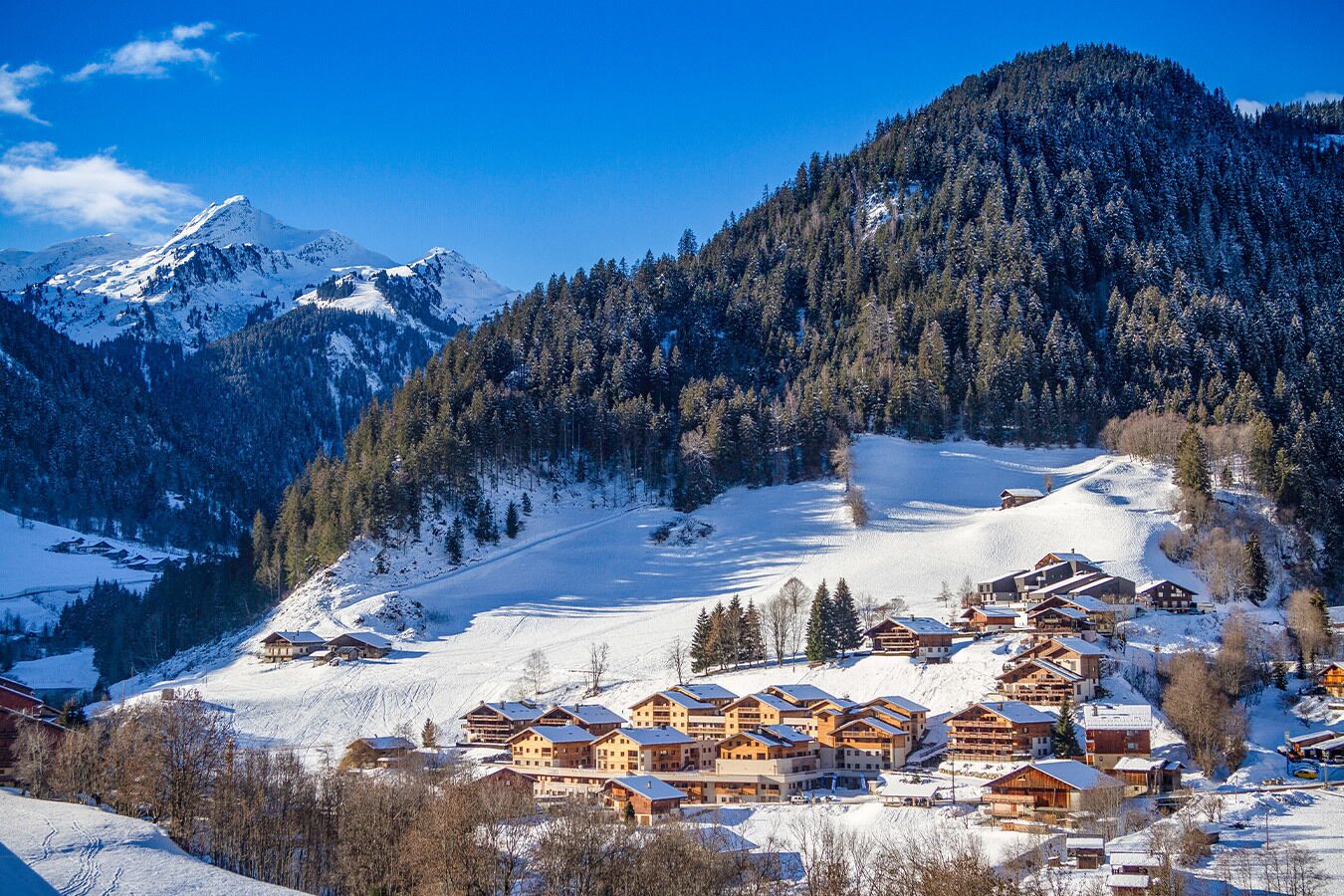 ARECHES BEAUFORT La Clé des Cimes S63 3 pièces Famille 6 pers.