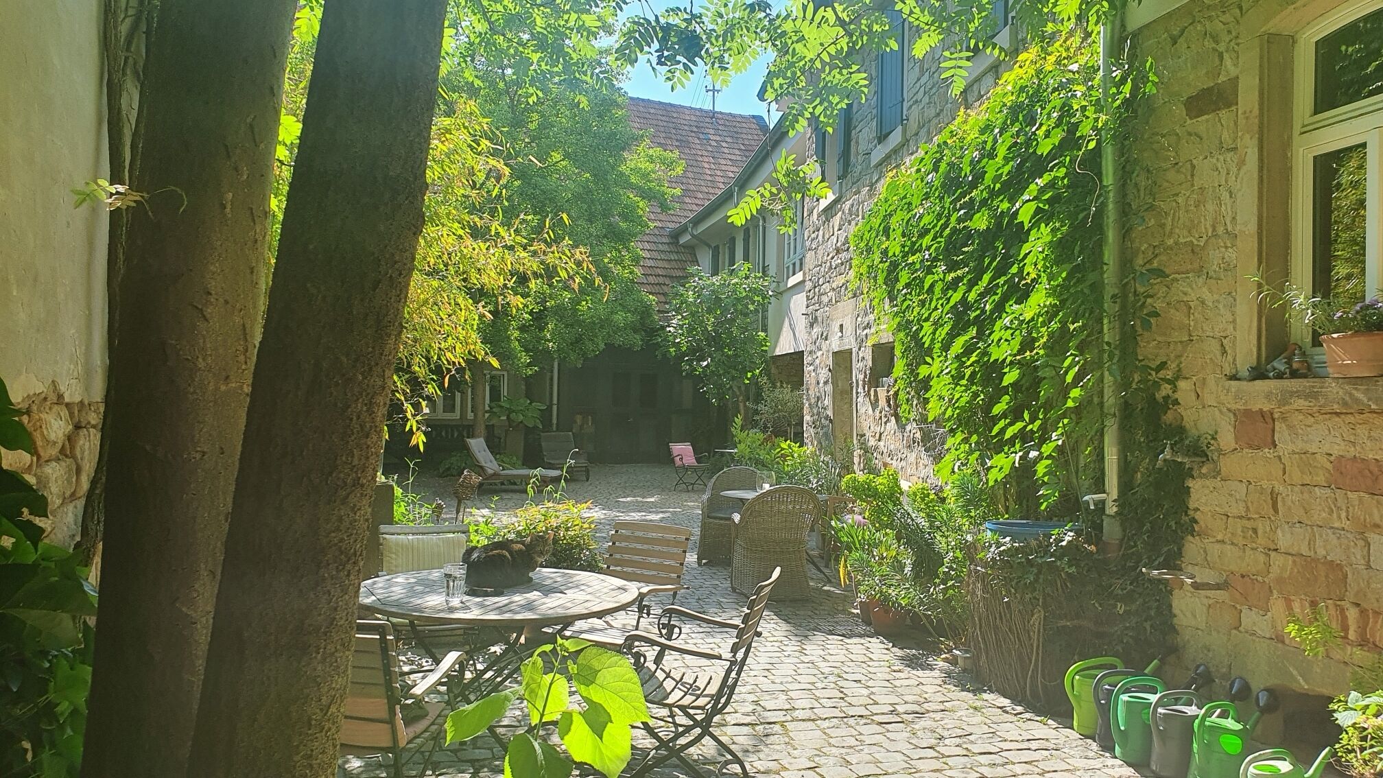 Restauration extérieure