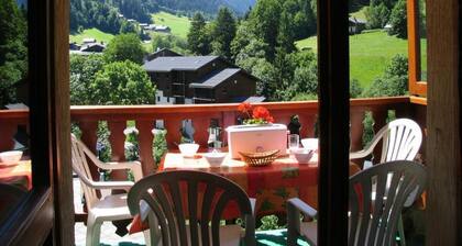 100m from ski slopes, 2nd floor, parking, tv, 28m², Arêches-Beaufort