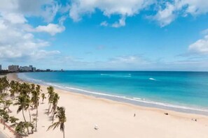 Uma praia com águas azul-claras, palmeiras e o horizonte de uma cidade ao longe.