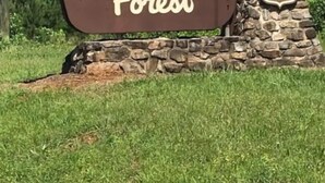 Un panneau brun indiquant « Forêt nationale d’Ouachita » et arborant l’emblème du Service forestier des États-Unis.
