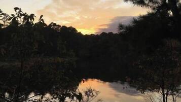 Una escena serena junto al lago, con árboles y cielo despejado.