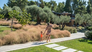 Un chemin bordé d’un bâtiment moderne, avec en arrière-plan une végétation luxuriante et des arbres.
