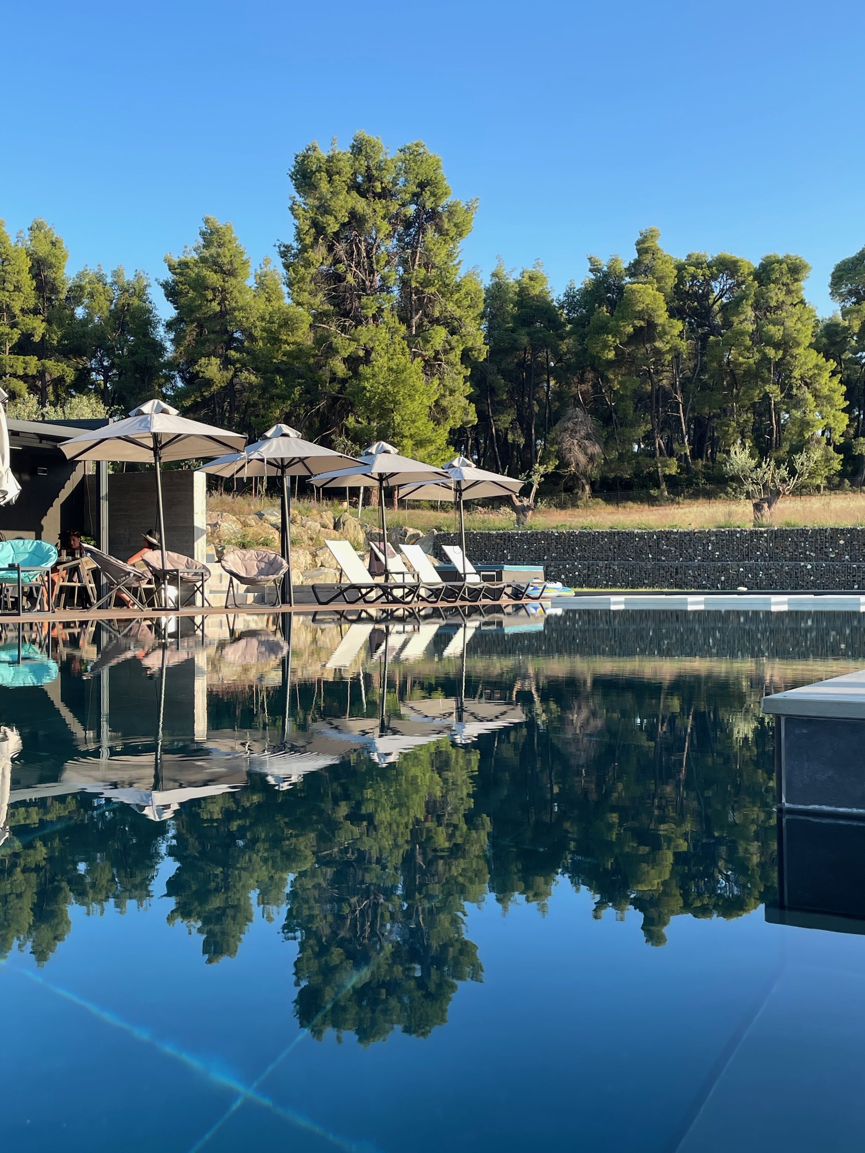 A clear view of a swimming pool with lounge chairs and umbrellas, surrounded by trees.