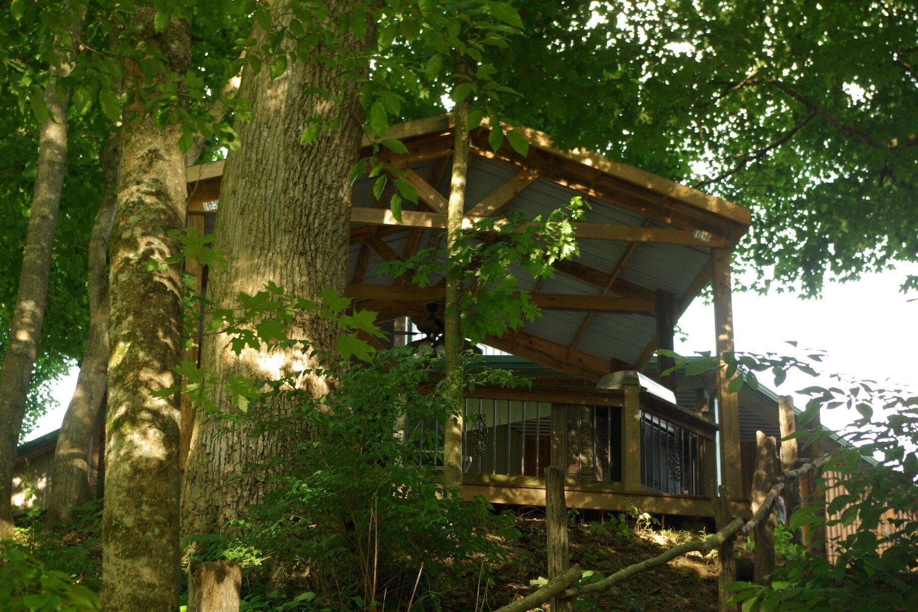 A treehouse with a wooden structure and metal railings, surrounded by dense foliage.