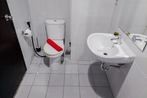 Bathroom features a toilet, sink with a faucet, and a mirror.