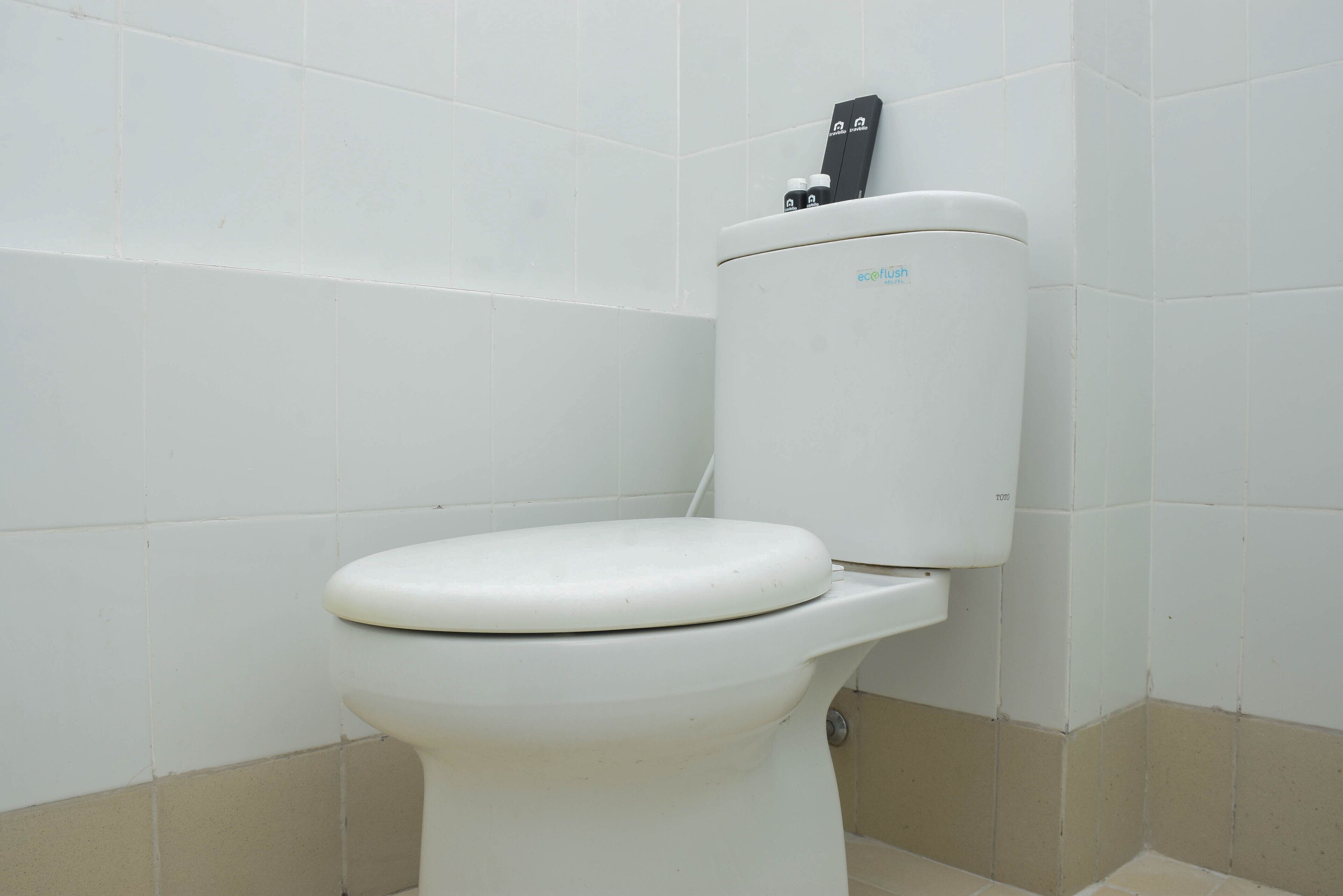 A white toilet with a flush handle and a tank labeled "eco flush."