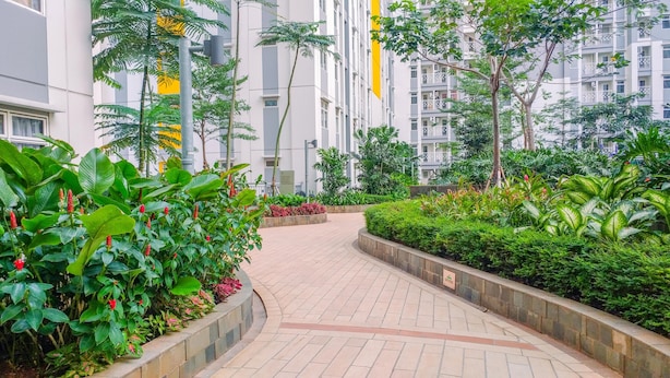 Un sendero bordeado de abundante vegetación y un edificio moderno al fondo.