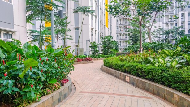 Un sendero bordeado de abundante vegetación y un edificio moderno al fondo.