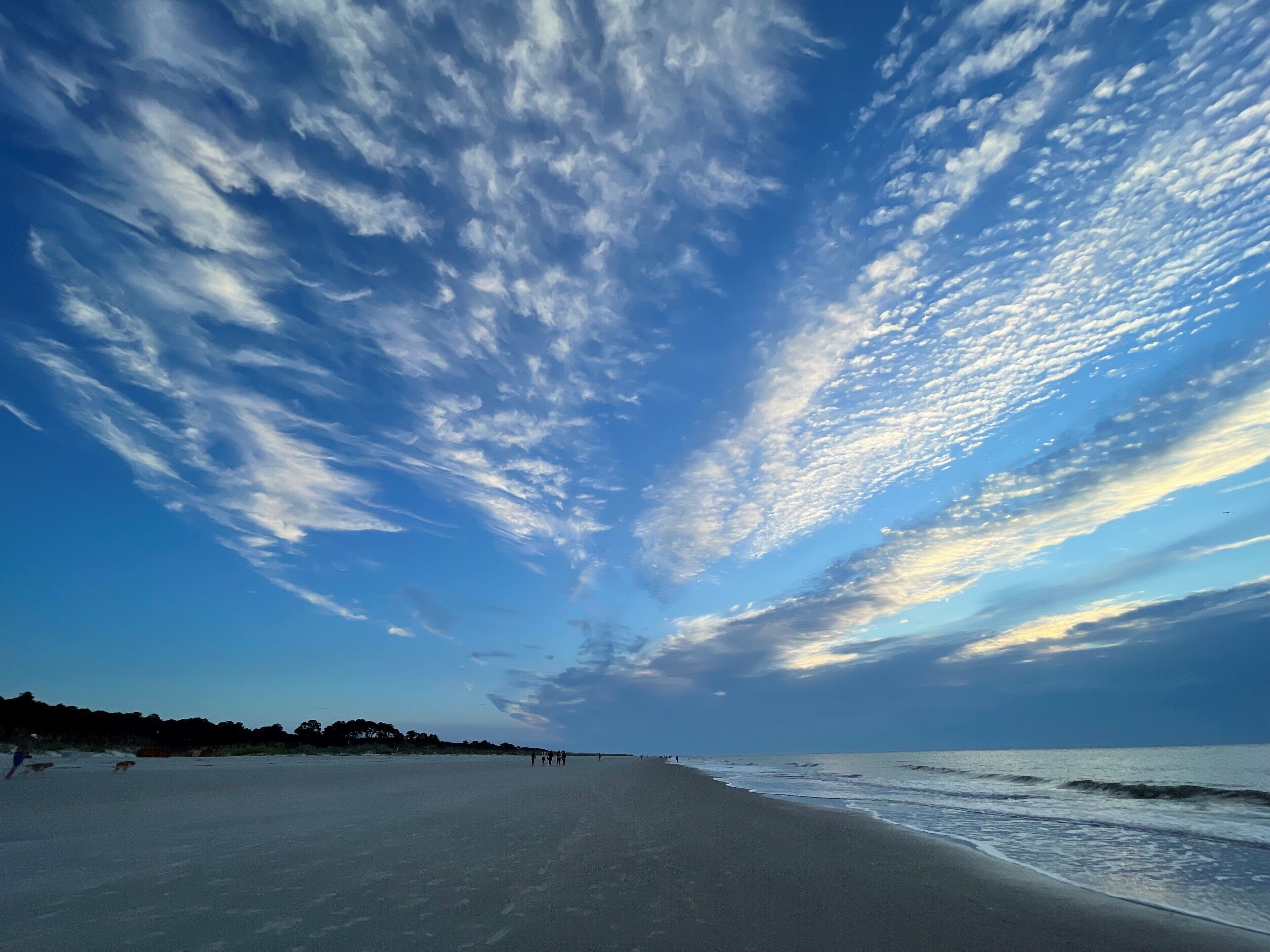 A beach with a clear sky and a long stretch of sand.