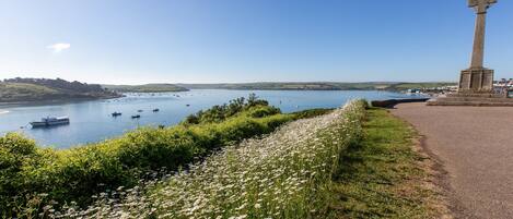 A coastal landscape with a monument, a path, and a field of daisies.