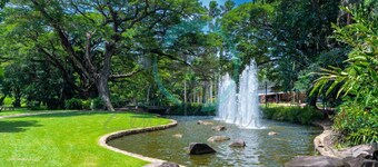 Oceanfront Marvel: Harbour View ~ Pool ~ Parking