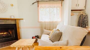 Smart TV, fireplace, books