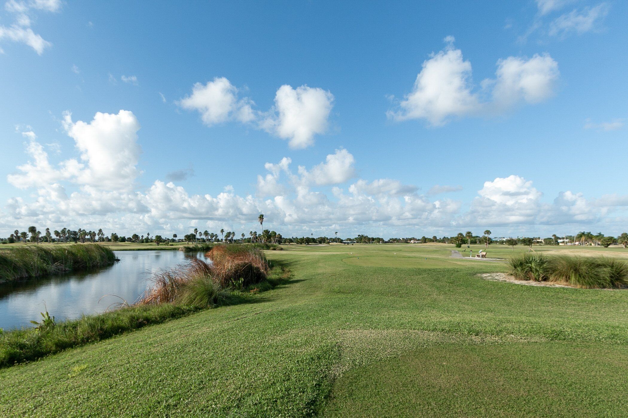 A golf course with a pond, green grass, and palm trees under a clear sky.