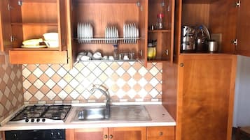 Fridge, oven, stovetop, cookware/dishes/utensils