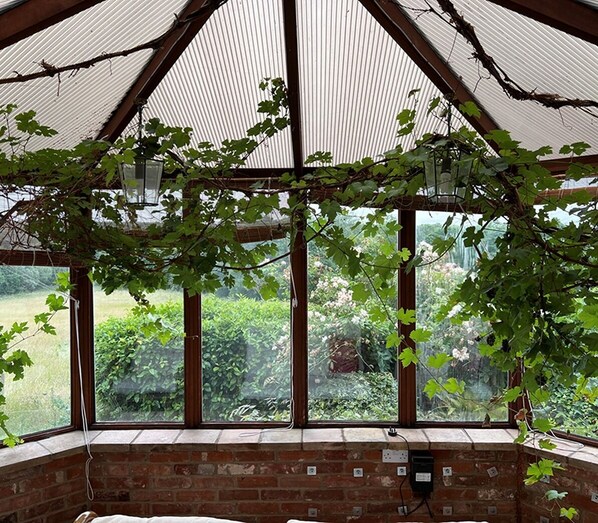 A conservatory with a brick wall, large windows, and vines growing on the glass.