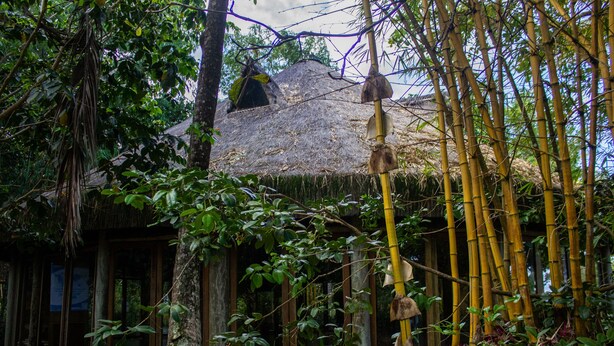 A rustic thatched-roof hut surrounded by bamboo and dense foliage. - Unah Piracanga (Maraú)