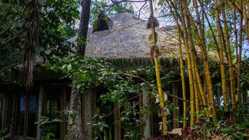 Uma cabana rústica com telhado de palha, rodeada por bambu e vegetação densa.