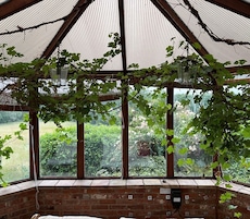 Casa tradicional | Vista para o jardim