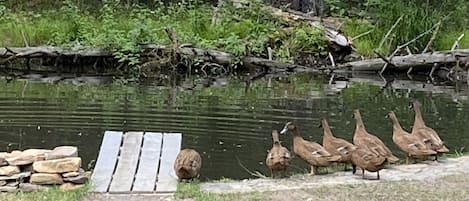 住宿场地