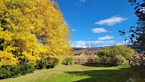 Un espacio cubierto de césped con un gran árbol amarillo y un cielo azul despejado.