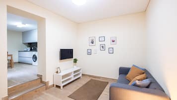 Fernseher