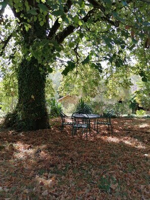 Outdoor dining - Fresh air and sunshine (Coursac)