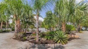 Een aangelegde tuin met palmbomen, diverse struiken en een verhard pad.