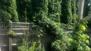 Un jardín con varias plantas en macetas, una cerca de madera y una estructura de pérgola.