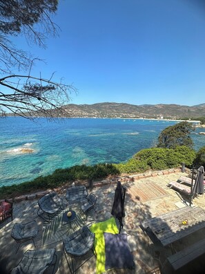 Terras