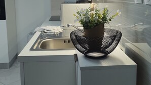 Une cuisine moderne dotée d’un évier en acier inoxydable, d’une bouilloire et d’une plante en pot posée sur le plan de travail.