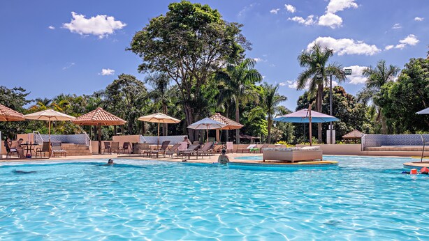 Piscina con sillas de descanso y sombrillas, rodeada de palmeras y un cielo despejado.