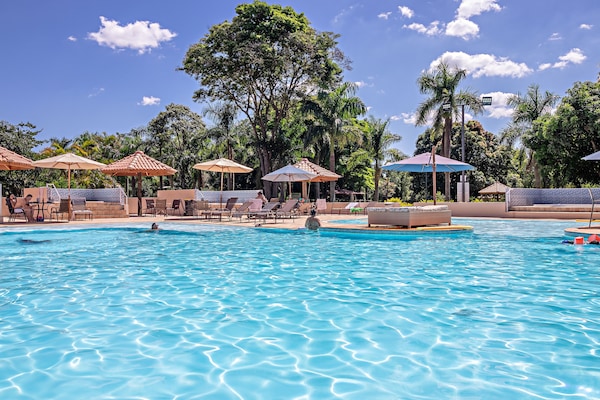 Una piscina al aire libre, sombrillas, sillones reclinables de piscina