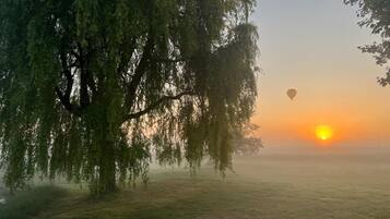 Een vredig landschap met een grote boom en een heldere lucht bij zonsopgang.
