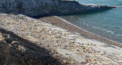 Family home, town house in d'Etretat