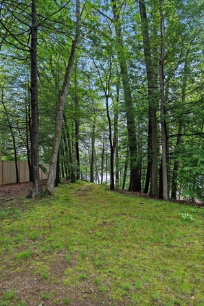 Àrea exterior de l'allotjament