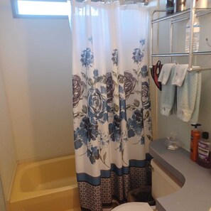 Combined shower/tub - Quiet living in a small, gated 55 + gated neighborhood. (Hudson)