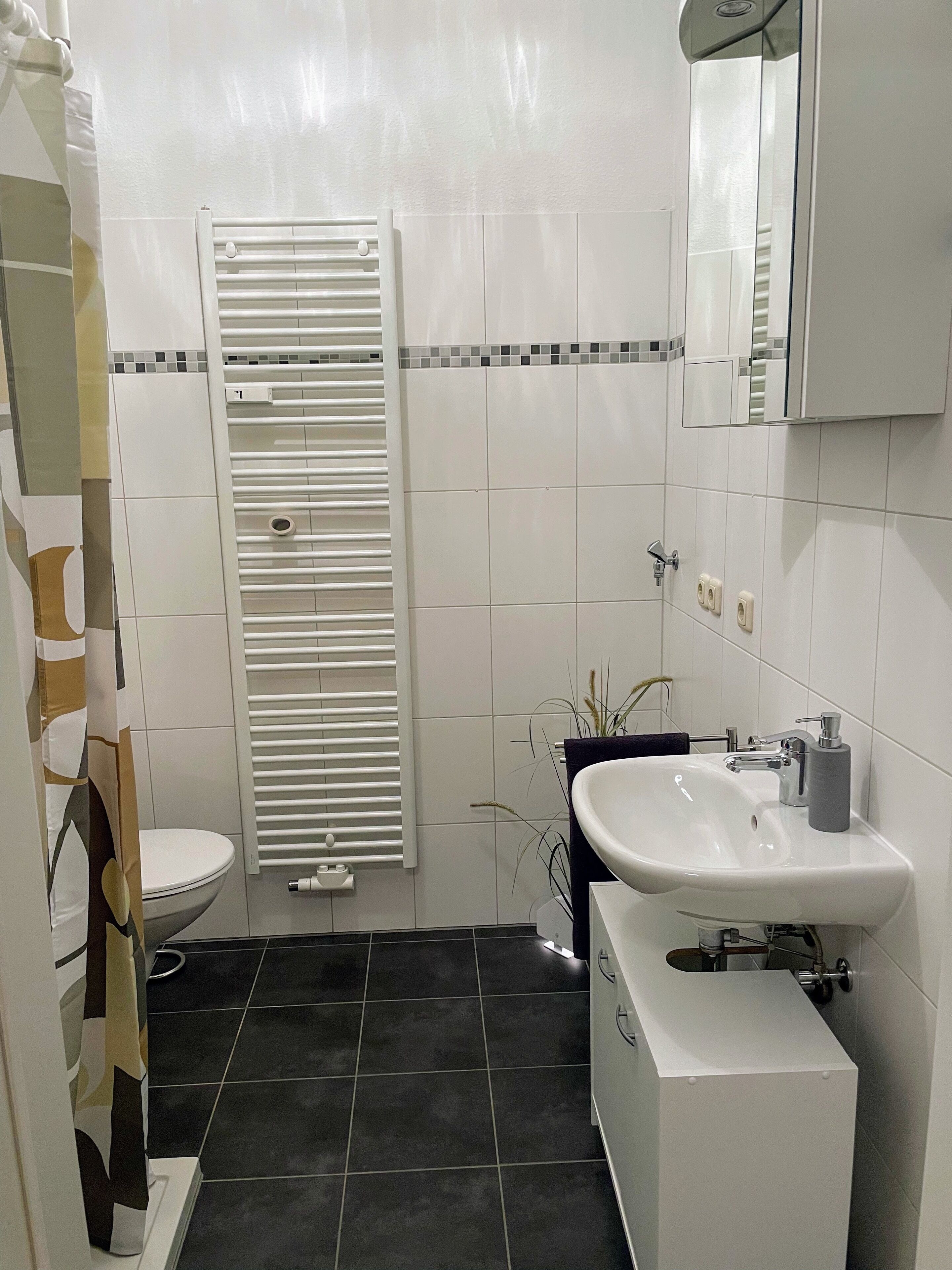A bathroom with a toilet, a sink, a towel rack, and a mirror.