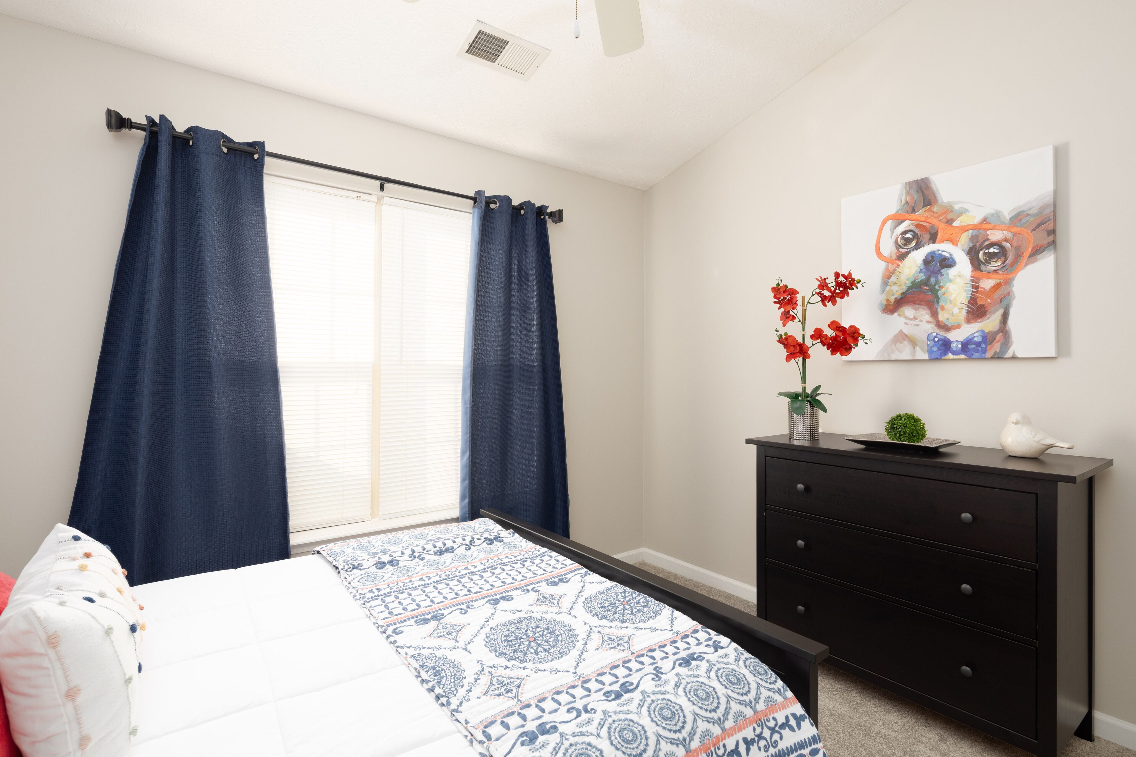 Lexington Cutie! Entire house close to UK, hospitals,  and Keeneland