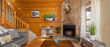 Smart TV, fireplace, video games, DVD player