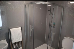 Um chuveiro com paredes de vidro, um vaso sanitário branco e um porta-toalhas.