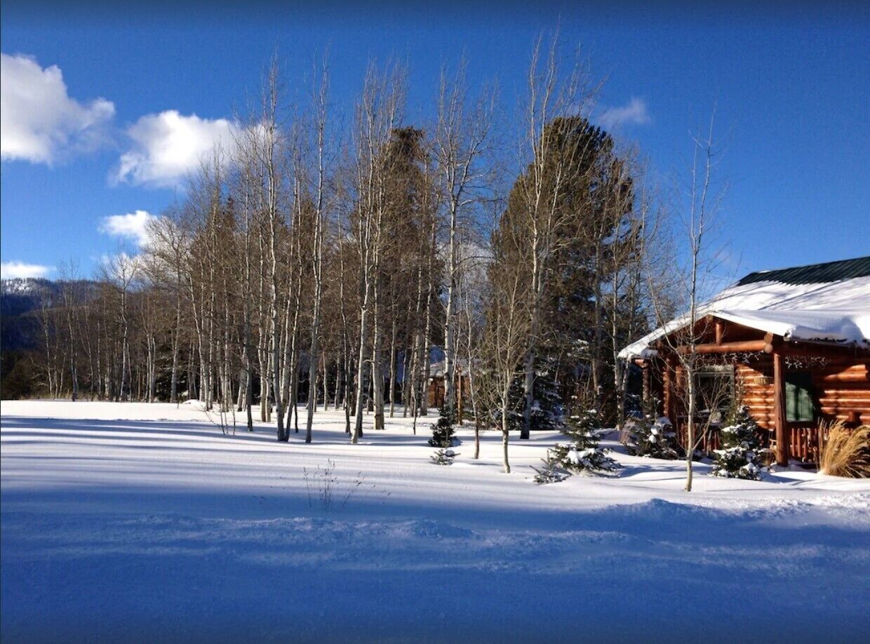 A log cabin with a snow-covered roof, surrounded by a forest with leafless trees.