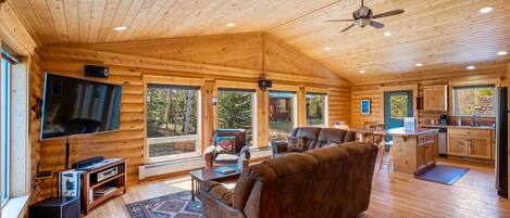 TV, fireplace, DVD player