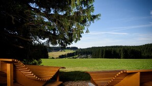 Un banc en bois offrant une vue sur un champ verdoyant et une forêt en arrière-plan.