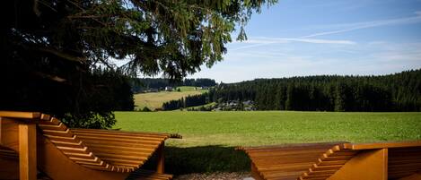 Un banc en bois offrant une vue sur un champ verdoyant et une forêt en arrière-plan.
