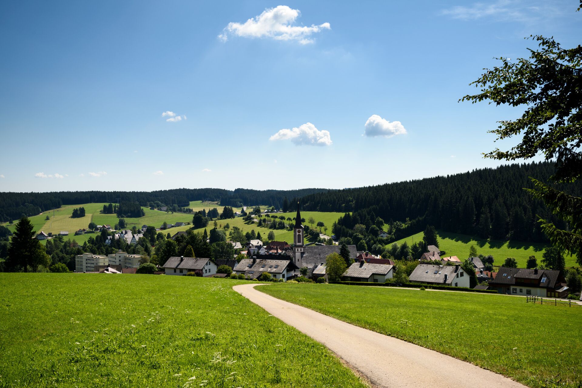 A rural village with a prominent church, a winding road, and lush green fields.