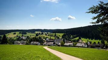 A rural village with a prominent church, a winding road, and lush green fields.
