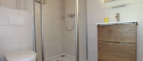 A modern bathroom with a glass-enclosed shower, a toilet, and a vanity with a mirror.