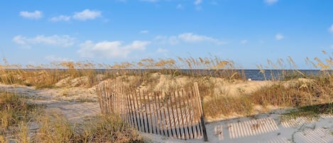 Plage à proximité
